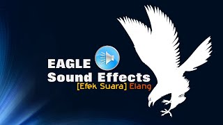 Efek suara Elang || Eagle Sound Effects