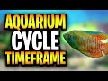 How Long Does It Really Take To Cycle A Tank