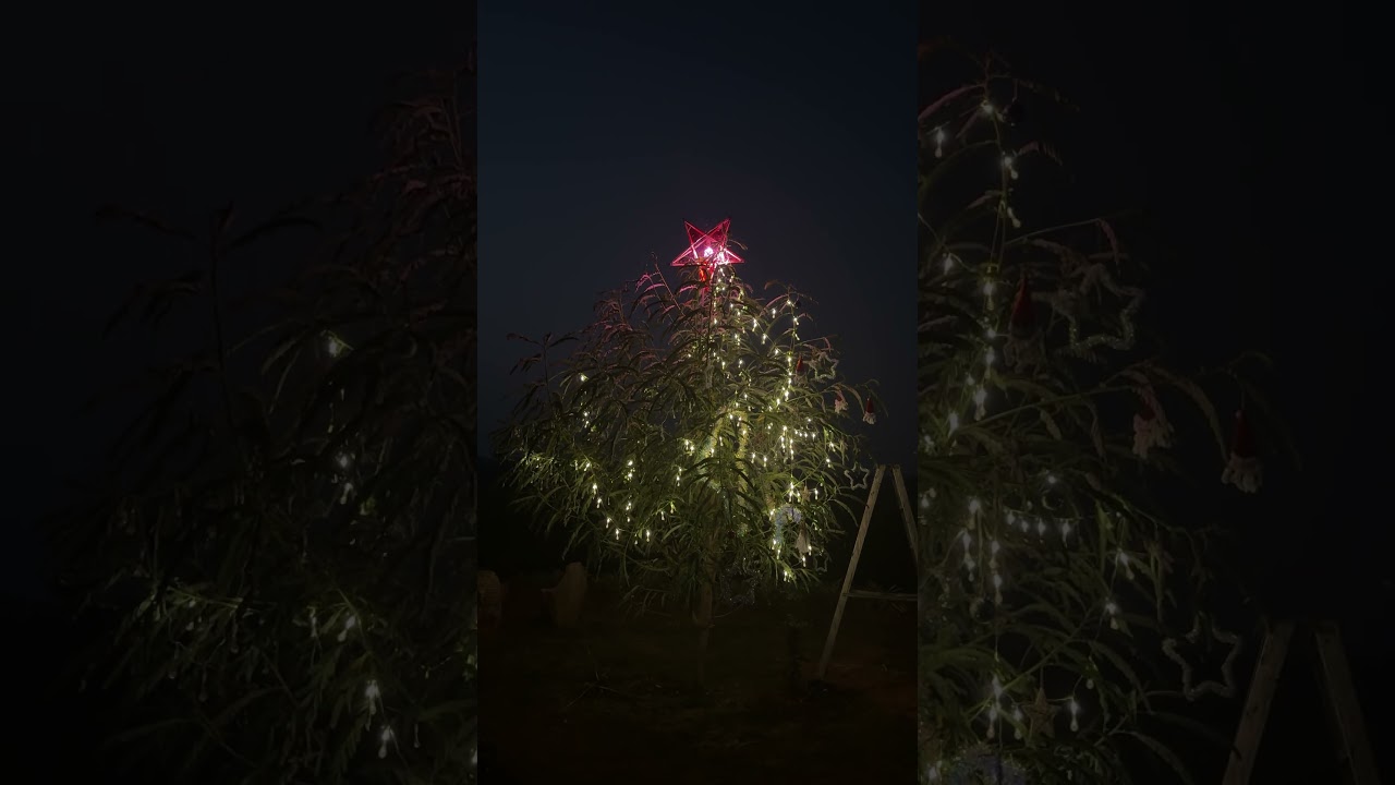 കോടന്നൂർ പ്രകൃതി ആശുപത്രിയിലെ ക്രിസ്മസ് ആഘോഷങ്ങൾ