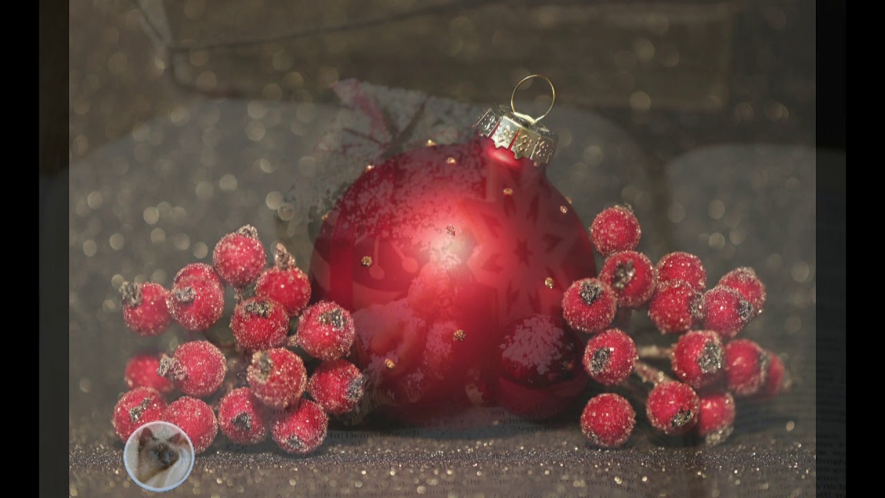 Meine Wünsche für Dich in der Advents - und Weihnachtszeit