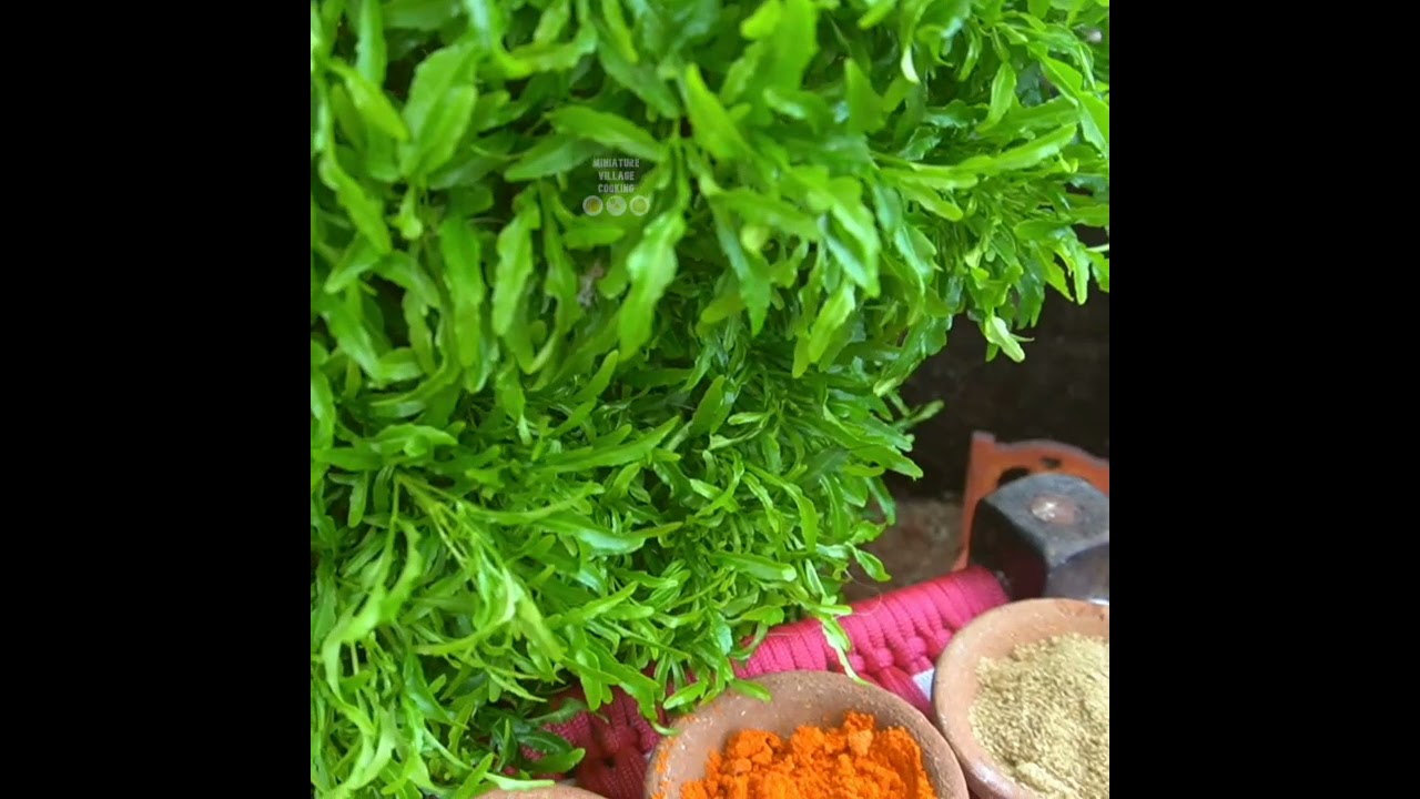 Miniature Cooking Set up| We cook tiny foods| Miniature Village Cooking