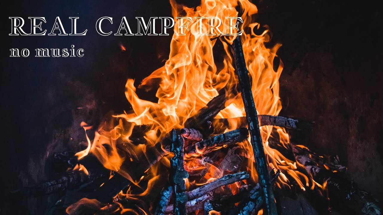 🔥Real Campfire Ambience with Night Animals-Owls &Crickets[No Music] Made for Relaxation& Sleep,Enjoy