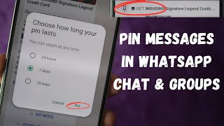 How to pin WhatsApp messages in WhatsApp Group & Chat on iPhone & Android