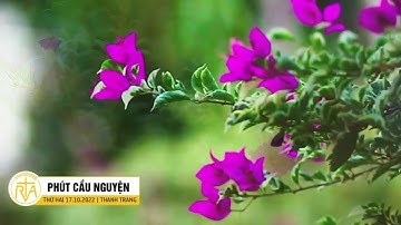 Phút Cầu Nguyện, Thứ Hai 17/10/2022: Sức Mạnh Của Niềm Tin