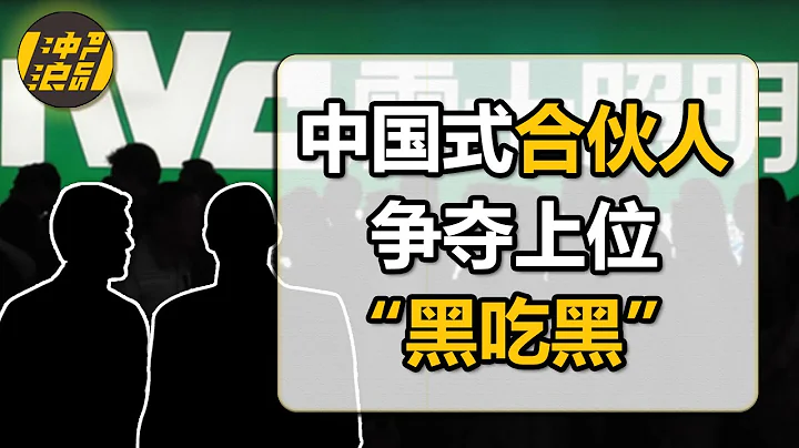 【中国商业史36】上集：与合伙人反目，被投资者出卖，江湖式管理，CEO沦为阶下囚，中国VC圈与企业家第一案，是谁抢走了雷士照明？ - 天天要闻