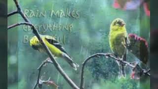 Happy rainy day