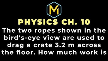 10.3 Mastering Physics Solutions, "The two ropes shown in the bird