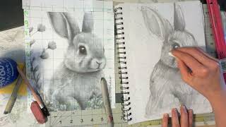 Bunny Drawing with Grid
