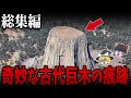 【総集編】眠れなくなるほど面白い世界の謎９選【ゆっくり解説】