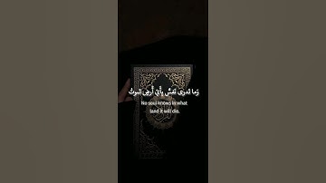 سورة لقمان: القارئ اسلام صبحي