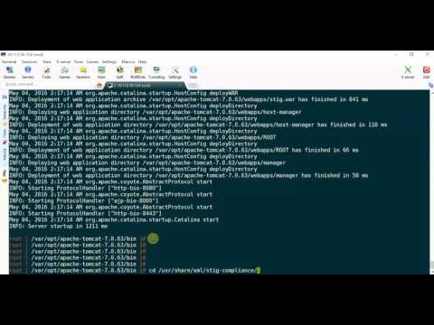 VMware GOLD vApp STIG Assessment and Remediation Tool: Cool Hacks 1