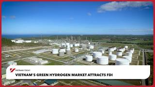 Vietnam's green hydrogen market attracts FDI | Vietnam Today