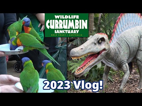 Currumbin Wildlife Sanctuary Vlog 2023 - World Famous Wildlife Park!