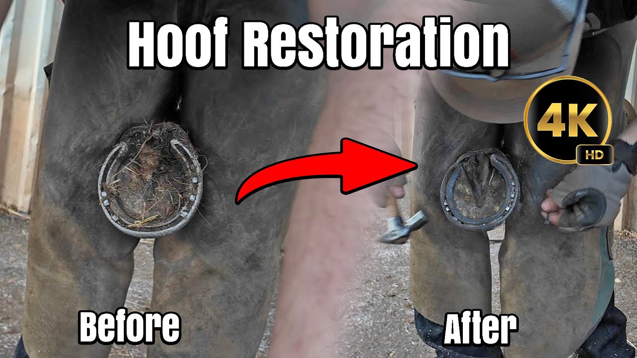 Hoof Restoration in 4K Oddly Satisfying Hoof Restoration ASMR
