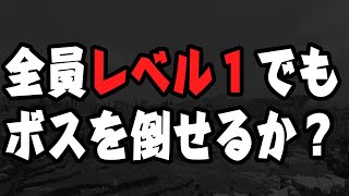 レベル１でも数の暴力でボスを攻略できるか試してみた【TERAVIT】