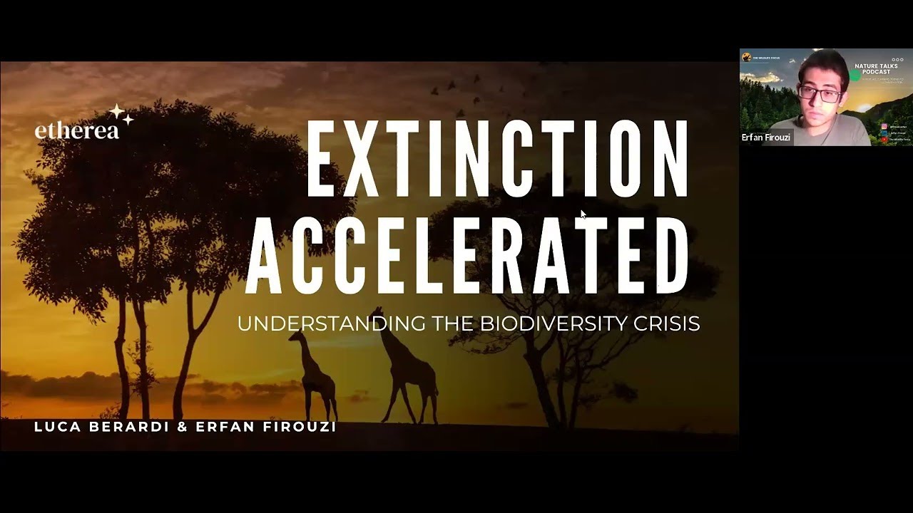 Extinction Accelerated: Understanding the Biodiversity Crisis - YouTube