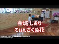 金城 しおり「てぃんざくぬ花」：2021年5月3日 ストリートピアノミニミニLIVE【那覇空港 国際線エリア3Fふくぎホール】