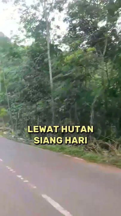 Lewat Hutan Siang Hari#shorts