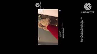CMB2 Squid Game But I Voiced The Auto Generated Subtitles But I Voiced The Auto Generated Subtitl…
