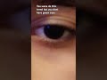 eyes revel!