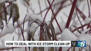 How to deal with ice storm clean-up