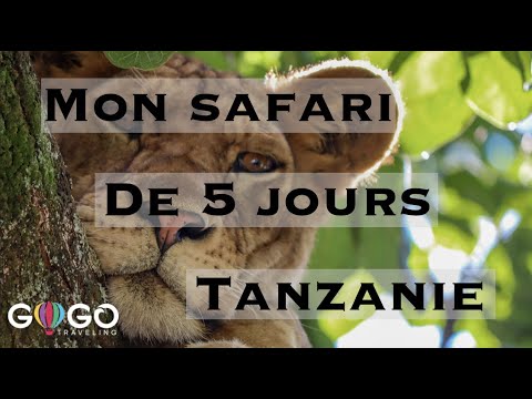 Vidéo: Liste De Colisage Indispensable Pour Un Safari - Matador Network