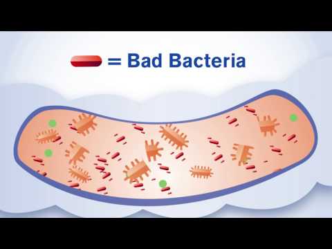 Beaumont researching way to stop C. difficile infections