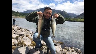 SHAD FISHING FUN ACTION - BONNEVILLE DAM