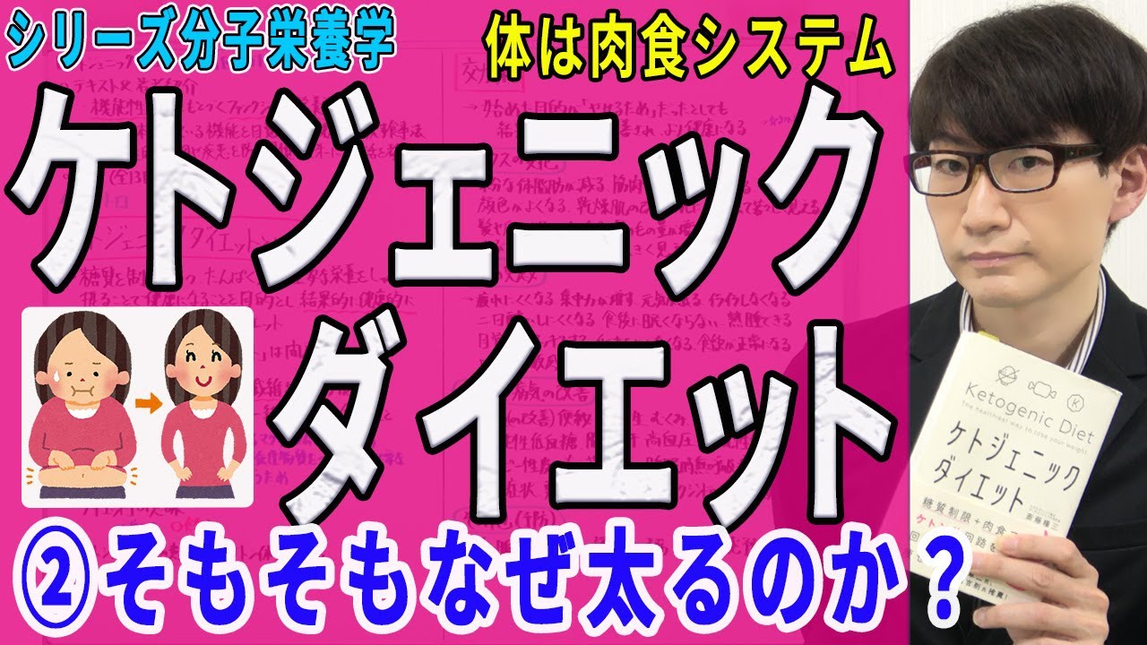 【ケトジェニックダイエット】②そもそもなぜ太るのか？（2/13）