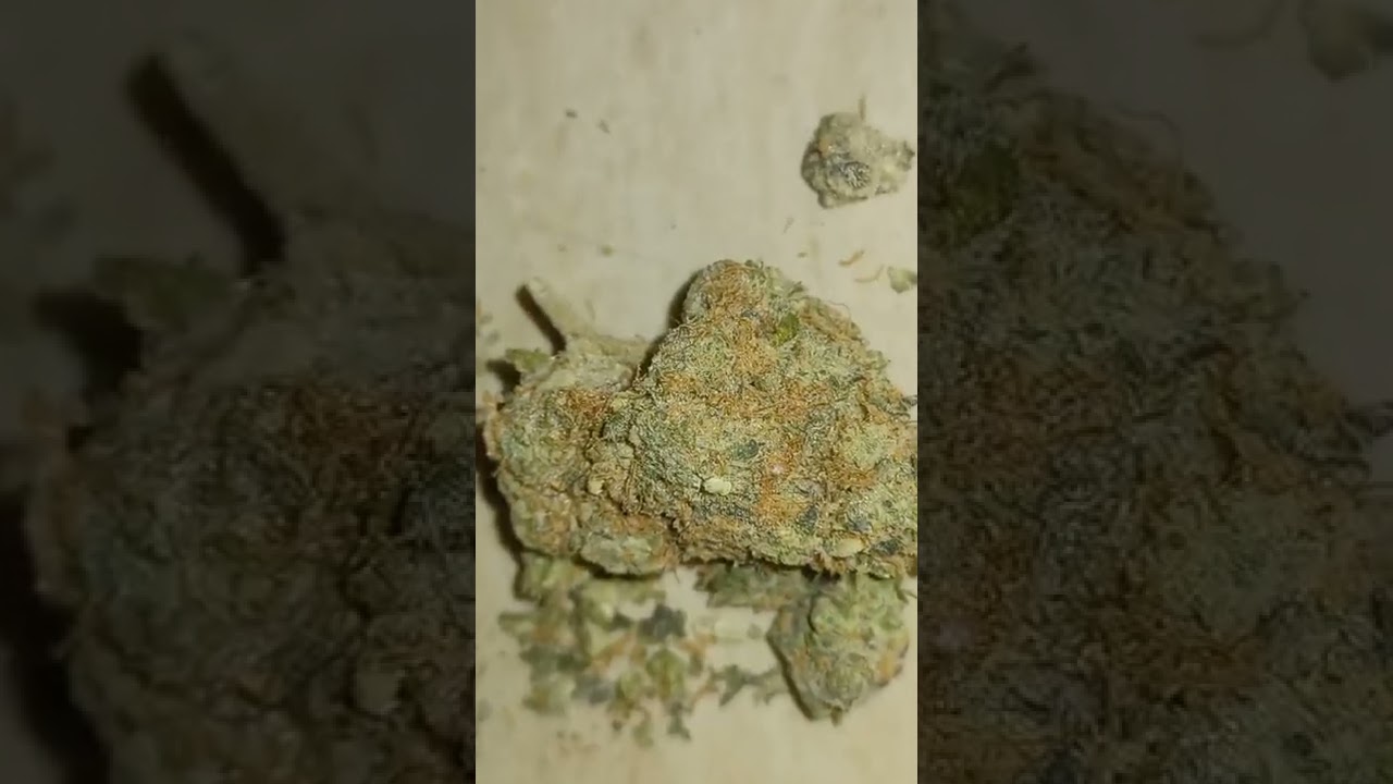 the soap # seed junky