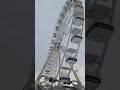 В Вешниках установили КОЛЕСО ОБОЗРЕНИЯ с рекламой РЫБНОГО РЫНКА в Глобусе#Аттракцион#КОЛЕСО ОБОЗРЕНИ