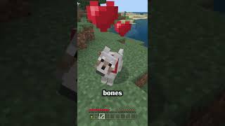 Minecraft Wolf Tips