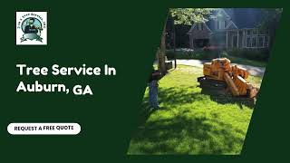 Tree Service In Auburn, GA