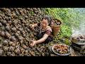 Giant Mountain Snails Steamed With Lemongrass Chili After a Wild Harvest