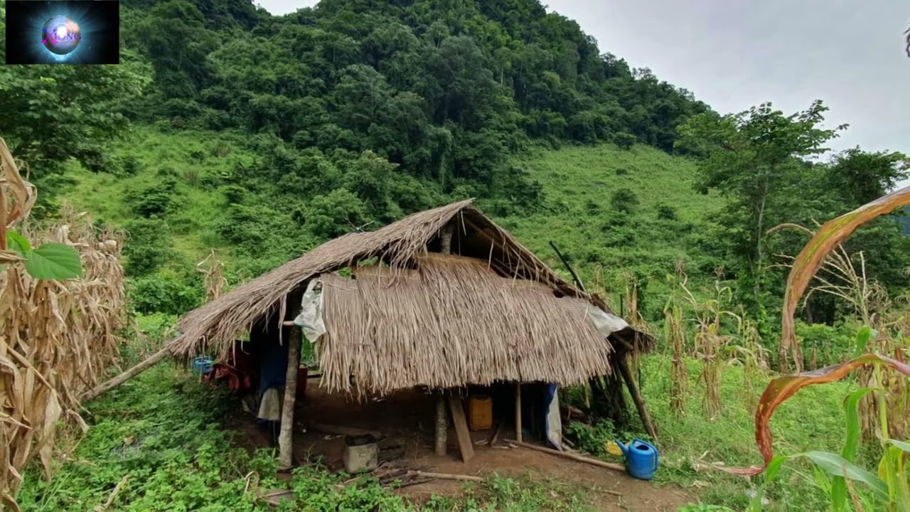 NOM RWG MUS COJ TAU PHIM NYUJ VAIS LOS HEM NOM RWG HAUV TEB