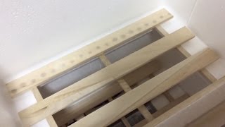 【昆虫飼育】ピタリ適温プラスで温室作製！