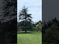 Exploring Nature's Beauty: A Journey Through Stunning Scenery ✨🌿