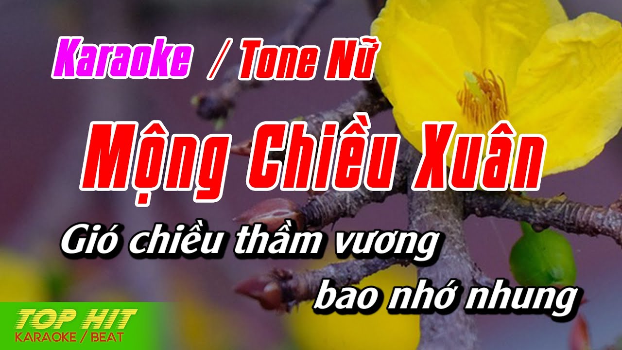 Mộng Chiều Xuân Karaoke Tone Nữ | Nhạc Sống Dễ Hát TOP HIT KARAOKE