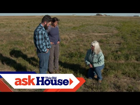 Video: Prairie Junegrass Information - Pelajari Tentang Junegrass In Landscapes