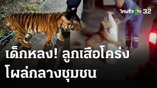 จับ"ลูกเสือโคร่ง"โผล่กลางชุมชน | 16 พ.ค. 67 | ข่าวเที่ยงไทยรัฐ
