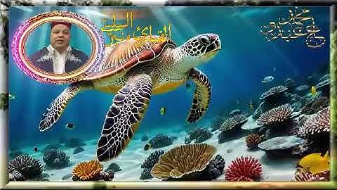 سورة الانسان -* قالون عن نافع المدني -- الشيخ منير السليتي