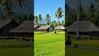 3 Things You Must Fix #WisdomWords #youtubeshorts #motivation #video #shorts #advice