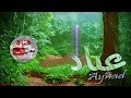 معنى اسم عناد وصفات حاملة هذا الاسم Aynad 