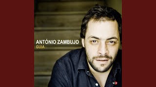 Video thumbnail of "Antonio Zambujo - Apelo"