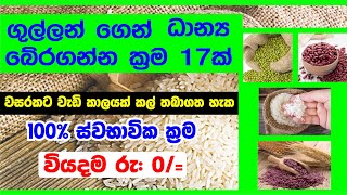 ආහාර කල් තබාගනීමේ පහසුම ස්වභාවික ක්‍රම 17ක් - Ahara kal thaba ganna krama How to Preserve Food