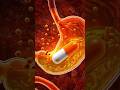What Happens After You Take a Medicine? | 3D Medical Animation #learnmedicine #medmastery