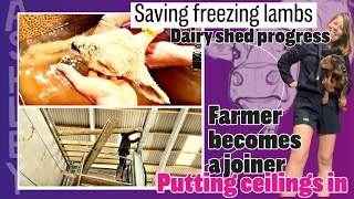 14 April freezing lambs- Robots get a roof- farm action