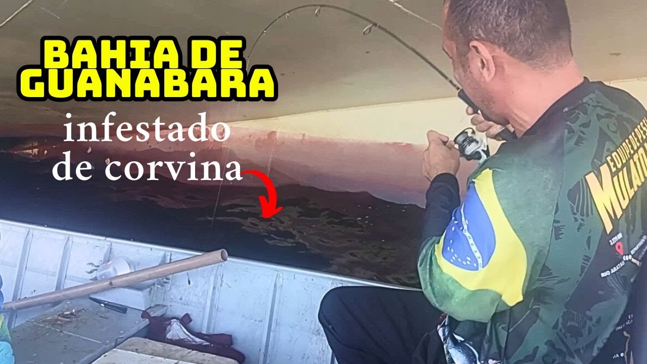 INFESTADO DE CORVINA NA BAHIA DE GUANABARA