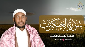 سورة العنكبوت تلاوة مؤثرة إبداعية للقارئ ياسين الطيب