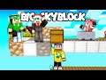 GIOCO 1 ORA DA MARCY ILLEGALE - BIG SKYBLOCK - MINECRAFT ITA